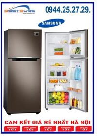 Tủ lạnh Samsung inverter 243 lít RT22M4040DX/SV