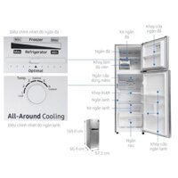 Tủ lạnh Samsung Inverter 256 lít RT25M4032DX/SV