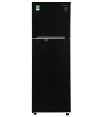 Tủ lạnh Samsung Inverter 256 lít RT25M4032BU/SV - Chính hãng