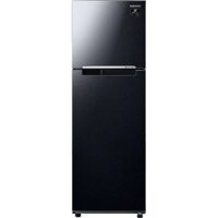 Tủ lạnh Samsung inverter 256 lít RT25M4032BU