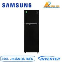 Tủ lạnh Samsung Inverter 256 lít RT25M4032BU/SV