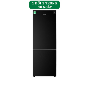 Tủ lạnh Samsung Inverter 310 lít RB30N4010BU/SV