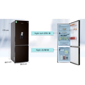 Tủ lạnh Samsung Inverter 307 lít RB30N4170BY/SV