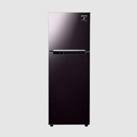 Tủ lạnh Samsung RT22M4032BY-SV ngăn đông trên