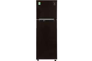 Tủ lạnh Samsung Inverter 256 lít RT25M4032BY/SV