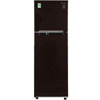 Tủ Lạnh Samsung RT25M4032BY/SV Inverter 256 Lít