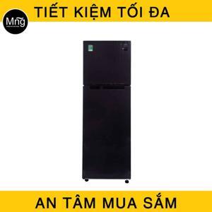 Tủ lạnh Samsung Inverter 256 lít RT25M4033UT/SV