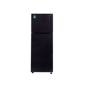 Tủ lạnh Samsung Inverter 256 lít RT25M4033UT/SV