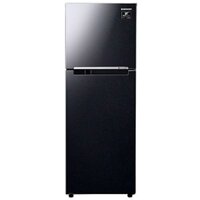 Tủ lạnh SAMSUNG RT22M4032BU/SV