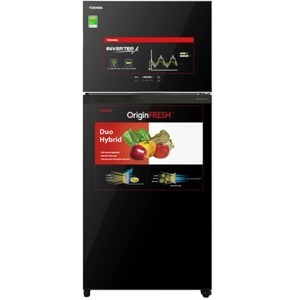 Tủ lạnh Toshiba Inverter 608 lít GR-AG66VA