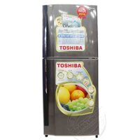 Tủ lạnh Toshiba GR-S19VPP(DS)