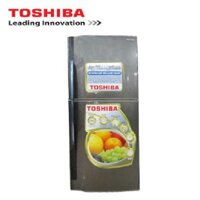 Tủ lạnh Toshiba GR-S19VPP(S) (175 lit)