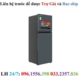 Tủ lạnh Toshiba Inverter 253 lít GR-RT329WE-PMV