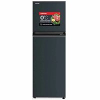 Tủ Lạnh Toshiba Inverter 253 Lít GR-RT329WE-PMV (52)