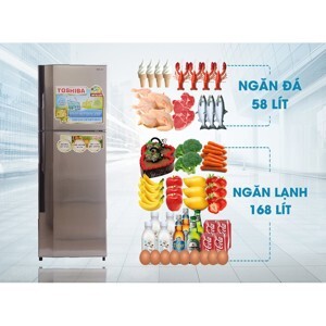 Tủ lạnh Toshiba 226 lít GR-S25VUB