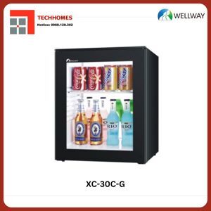 Tủ lạnh Wellway 30 lít XC-30C-G
