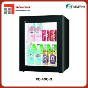 Tủ lạnh Wellway 40 lít XC-40C-G