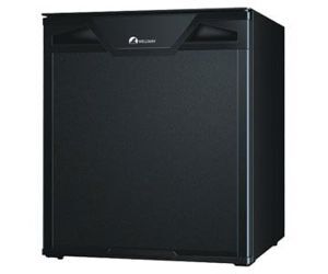 Tủ lạnh Wellway 60 lít XC-60C-S