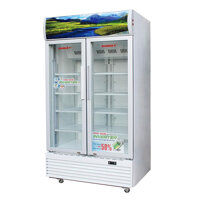 TỦ MÁT 2 CÁNH INVERTER SANAKY 900 LÍT VH-1009HP3 ĐỒNG R134A - HÀNG CHÍNH HÃNG - CHỈ GIAO HCM
