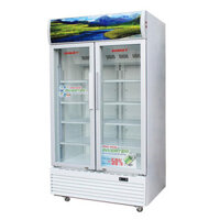 TỦ MÁT 2 CÁNH INVERTER SANAKY 900 LÍT VH-1009HP3 ĐỒNG R134A - HÀNG CHÍNH HÃNG - CHỈ GIAO HCM