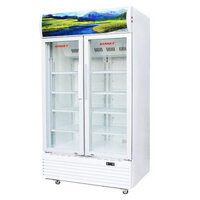 TỦ MÁT 2 CÁNH SANAKY 500 LÍT VH-6009HP ĐỒNG R134A - HÀNG CHÍNH HÃNG - CHỈ GIAO HCM