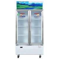 TỦ MÁT 2 CÁNH SANAKY 500 LÍT VH-6009HP