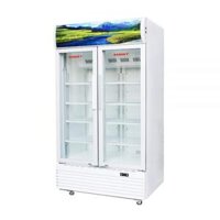 TỦ MÁT 2 CÁNH SANAKY INVERTER 800L VH1009HP