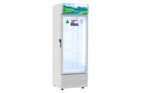 Tủ mát 250 lít Sanaky VH-2589K ướp lạnh bia, nước ngọt, trái cây