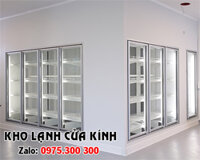 Tủ mát 4 cửa kính, kho lạnh cửa kính, kho lạnh trưng bày hoa tươi, trái cây