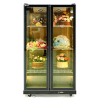 Tủ mát bảo quản hoa 2 cánh 2CMDD-1038L