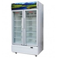 Tủ mát đứng Sanaky VH-6009HP 2 cánh kính