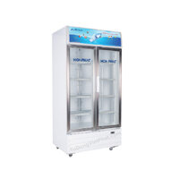 Tủ Mát Hòa Phát Funiki 620L 2 Cánh HSC-850F2.N - DÀN ĐỒNG