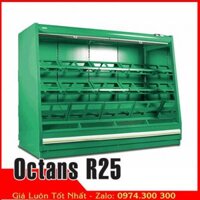 Tủ mát không cửa trưng bày trái cây, rau tươi RCO Octans R25