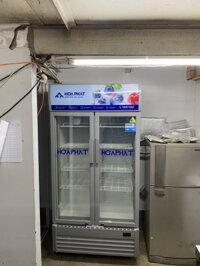 Tủ mát lớn Hòa Phát 1000L Hòa Phát 2 cánh