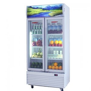 Tủ mát Sanaky 2 cánh 1000 lít VH1009HP (VH-1009HP)