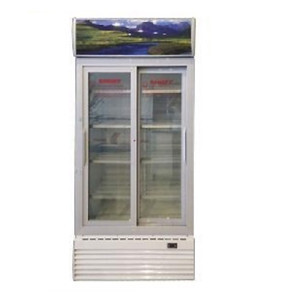 Tủ mát Sanaky 2 cánh 1000 lít VH-1009HP2