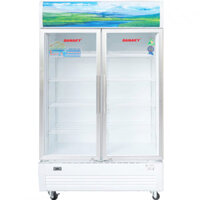 Tủ Mát Sanaky 2 Cánh 500 Lít VH-6009HP