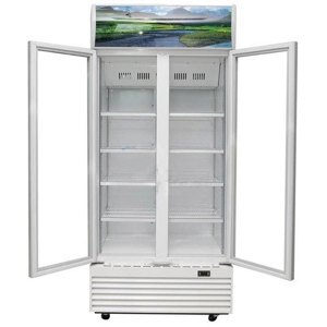 Tủ mát Sanaky 2 cánh 800 lít VH8009HP (VH-8009HP)