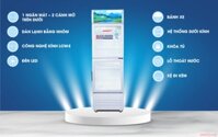 Tủ mát Sanaky 400L VH-408WL