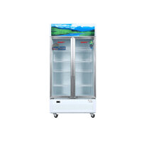 Tủ Mát Sanaky 900 lít Inverter VH-1009HP3