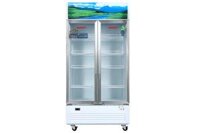 Tủ mát Sanaky 900 lít TM.VH1009HP