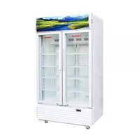 Tủ mát Sanaky DAVH-8009HP