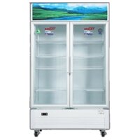 Tủ mát Sanaky Inverter 1100 lít VH1209HP3
