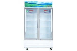 Tủ mát Sanaky inverter 2 cánh 1200 lít VH-1209HP3