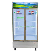 Tủ Mát Sanaky VH-1009HP 1000L 2 cánh