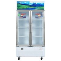 Tủ mát Sanaky VH-6009HP 500L 2 cánh