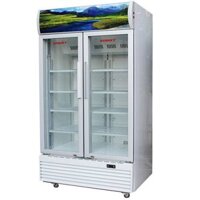 Tủ Mát Sanaky VH-8009HP