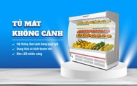Tủ Mát siêu thị Sanaky VH-20HP dàn Đồng