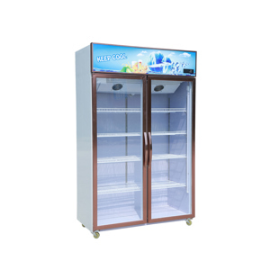 Tủ mát Snow Village 2 cánh 1200 lít LC-1200F