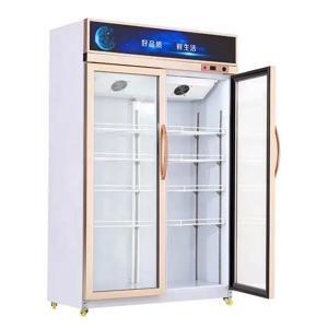 Tủ mát Snow Village  2 cánh 1200 lít LC-1200HX